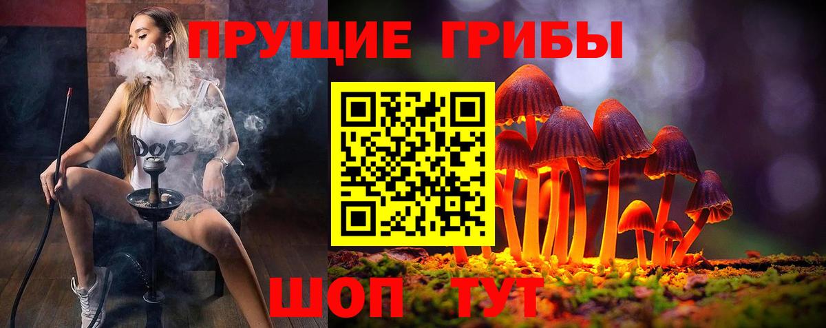 Псилоцибиновые грибы ЛСД  Вход с VPN  Псилоцибиновые грибы MAGIC MUSHROOMS  Вольск 